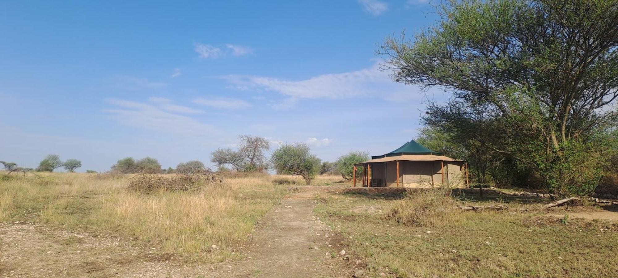 House Of Nature Serengeti Exterior foto